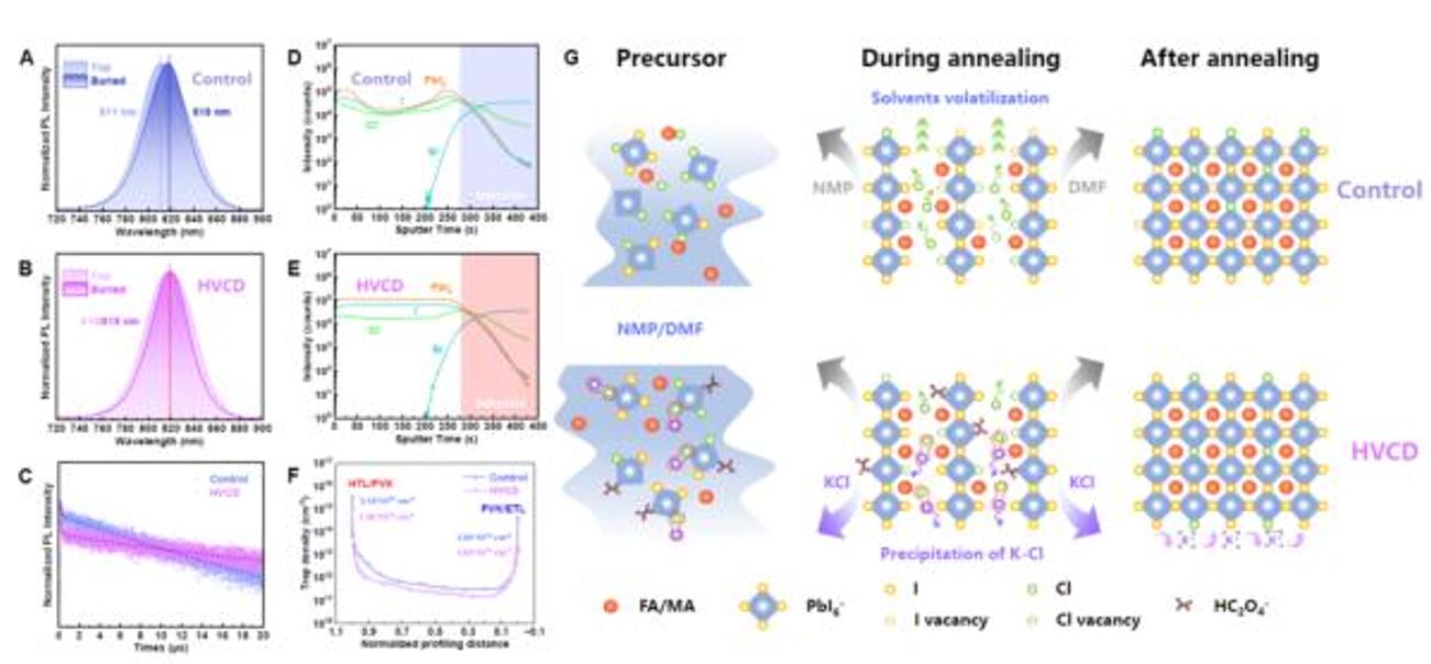 11月11日新闻稿-闪-1
