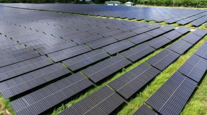 11月14日新闻稿-颖-1