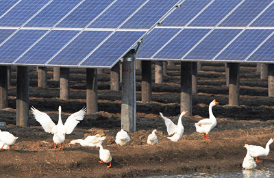 Animal husbandry, aquaculture, fruit trees forest farm power supply lighting